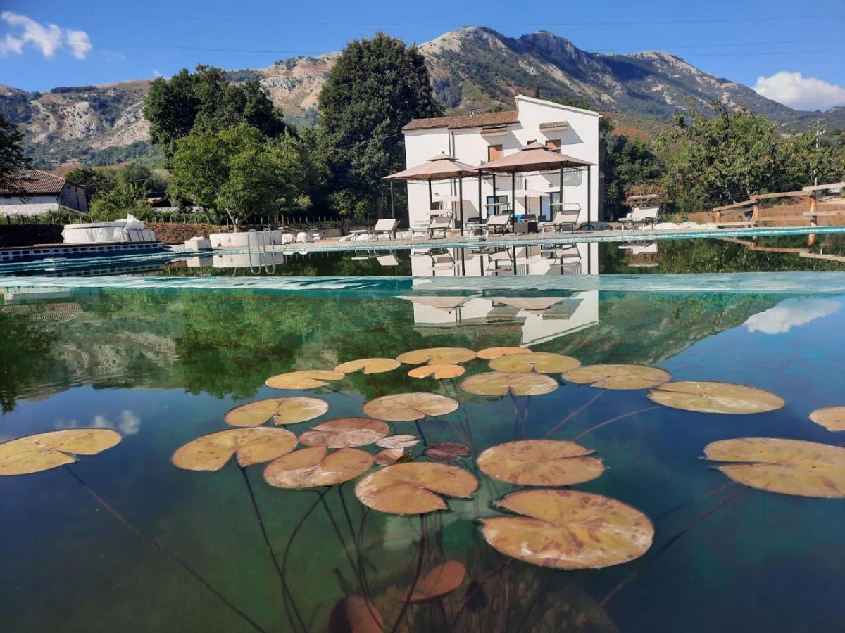 Agriturismo Albero del Miele Villa San Rufo Exterior foto